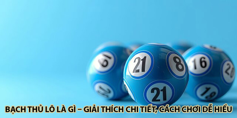 Bạch Thủ Lô Là Gì – Giải Thích Chi Tiết, Cách Chơi Dễ Hiểu