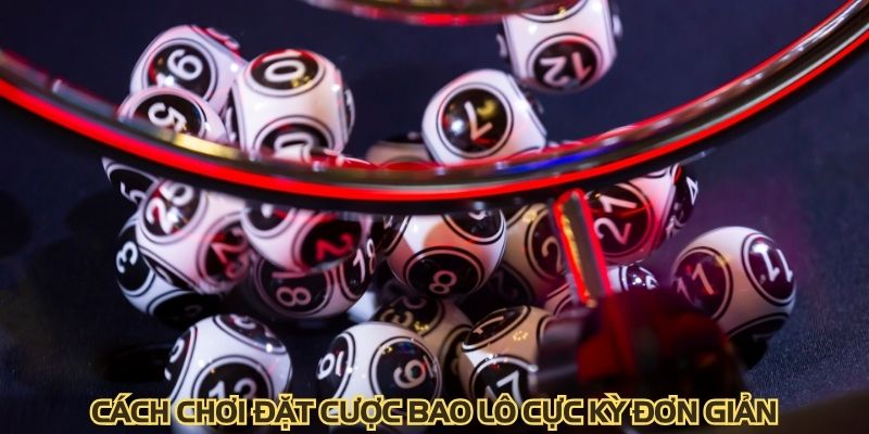 Cách chơi đặt cược bao lô cực kỳ đơn giản