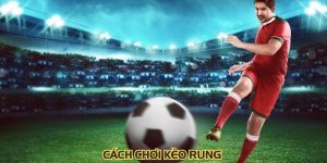 Cách Chơi Kèo Rung: Top 1 Cách Nên Biết Cho Người Mới
