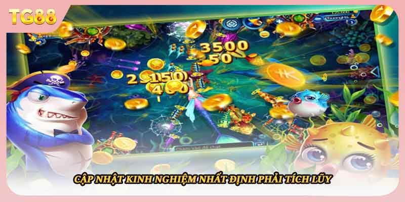 Cập nhật kinh nghiệm nhất định phải tích lũy