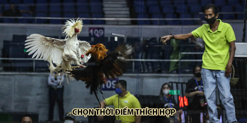 Chọn thời điểm thích hợp