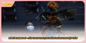 Đá Gà Thomo 67 - Sân Chơi Thượng Đẳng Dành Cho Hội Viên