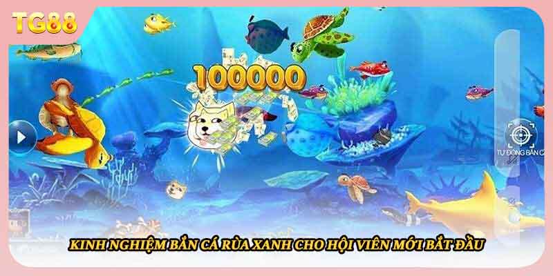 Kinh nghiệm bắn cá rùa xanh cho hội viên mới bắt đầu