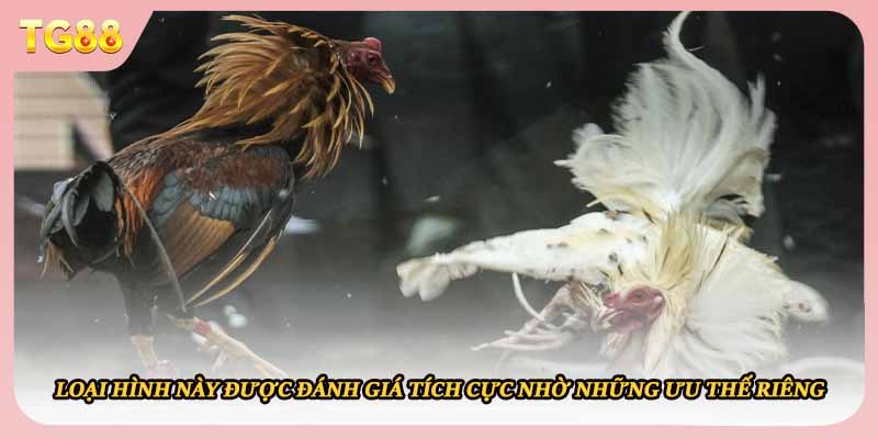 Loại hình này được đánh giá tích cực nhờ những ưu thế riêng