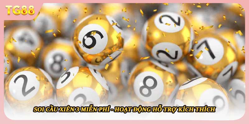 Soi Cầu Xiên 3 Miễn Phí - Hoạt Động Hỗ Trợ Kích Thích