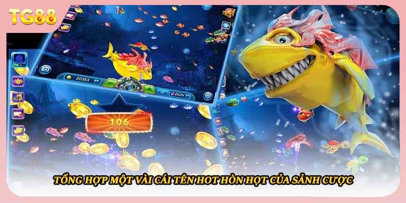 Tổng hợp một vài cái tên hot hòn họt của sảnh cược