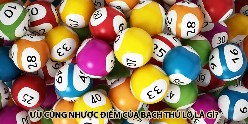 Ưu cùng nhược điểm của bạch thủ lô là gì?